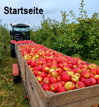 obsthof_schroeder019.jpg